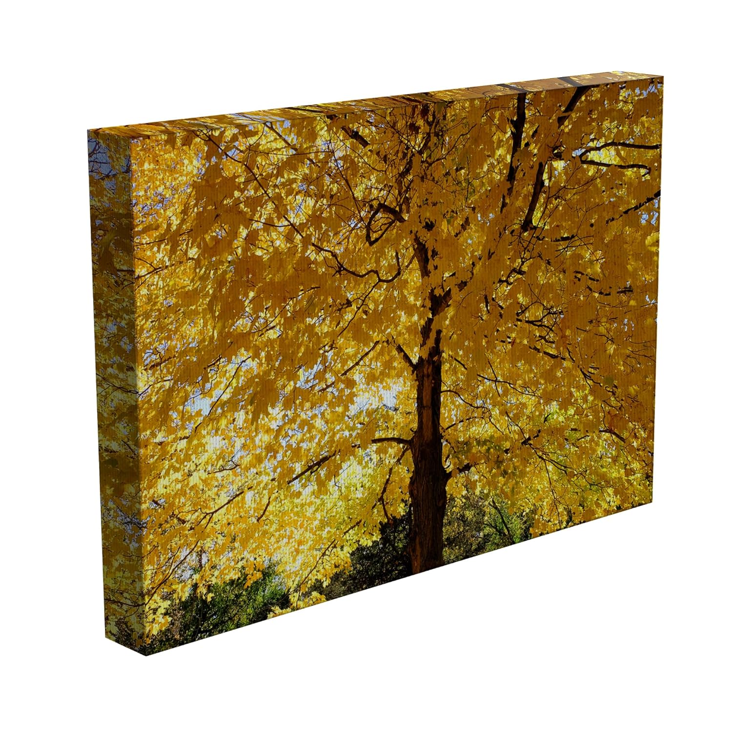 inep-b0cpdt5lzw-close-up-of-falling-for-fall_-framed-nature-canvas-wall-art-with-tree-mendous-3d-vibes-highlighting-the-textured-wooden-frame-and-vibrant-tree.jpg